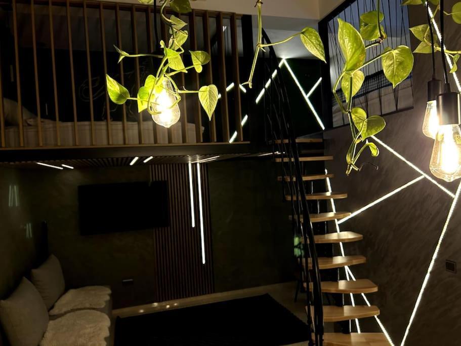 Leo &private Spa Apartmán *